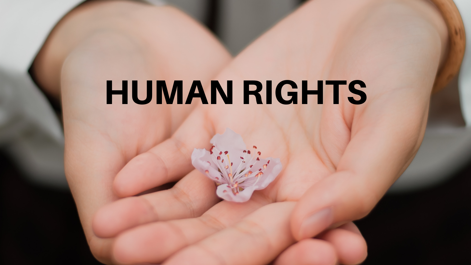 Ανθρώπινα Δικαιώματα